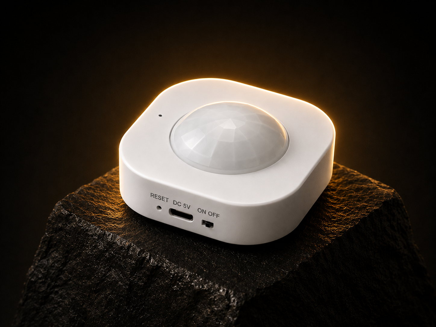 SMART SENSOR